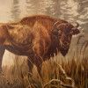 Bison Poster
