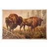 Bison Poster
